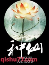《种仙》全本TXT下载-作者：天如玉