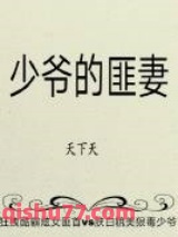 《少爷的匪妻》全本TXT下载-作者：天下天