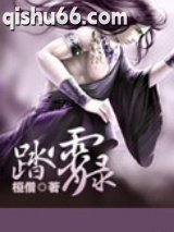 踏霄录图片
