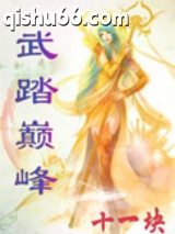 《武踏巅峰》全本TXT下载-作者：十一块