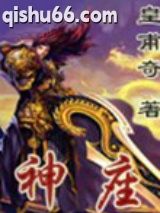 《神座》全本TXT下载-作者：皇甫奇