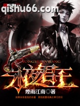 《永夜君王》全本TXT下载-作者：烟雨江南
