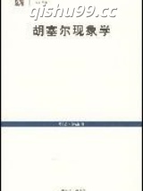 胡塞尔现象学导引图片