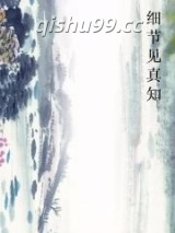 细节见真知图片