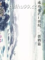 成功在21世纪--营销篇图片