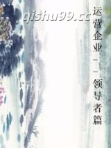 运营企业--领导者篇图片